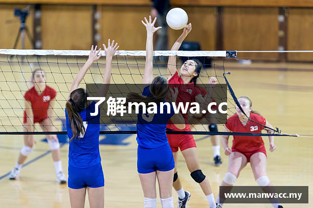 了解manwa.cc
